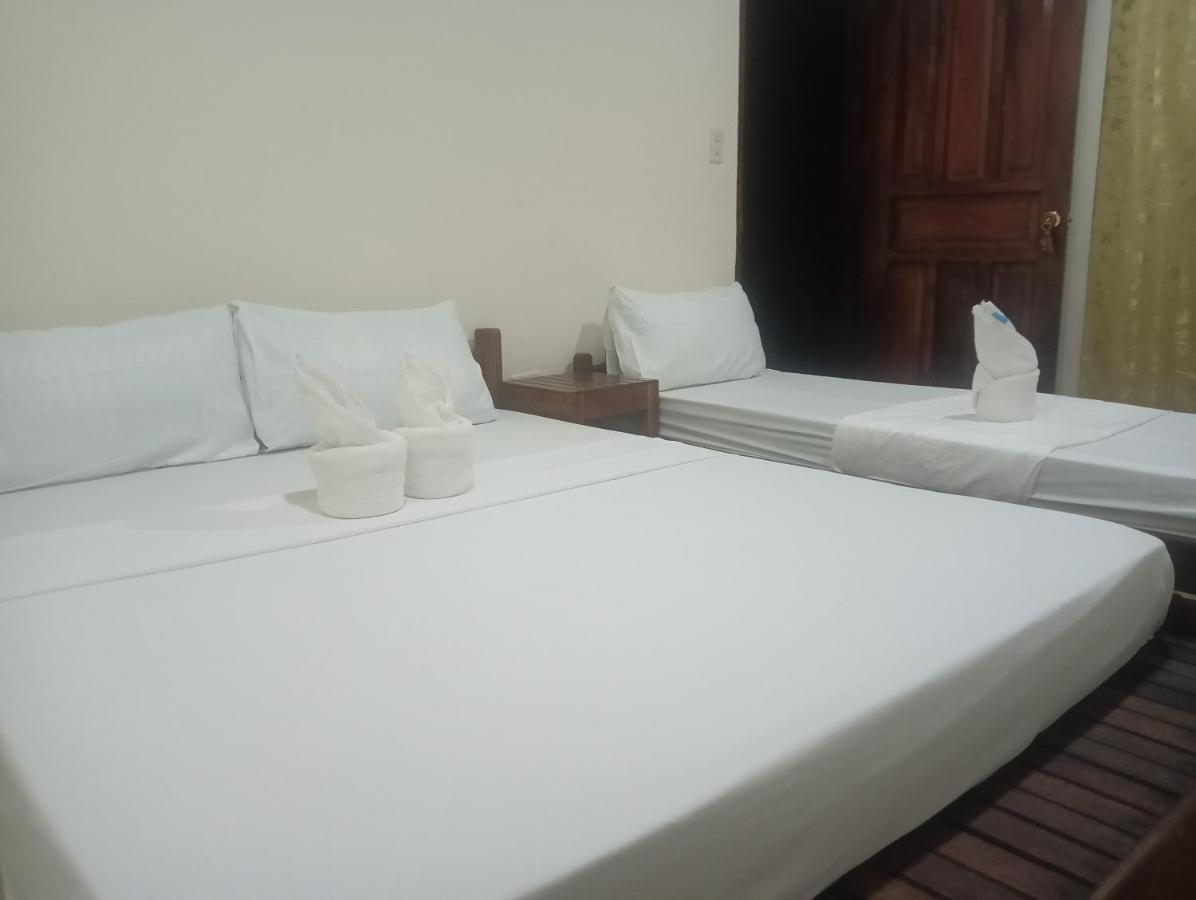 Nay Nildz Pension House San Vicente  Bagian luar foto